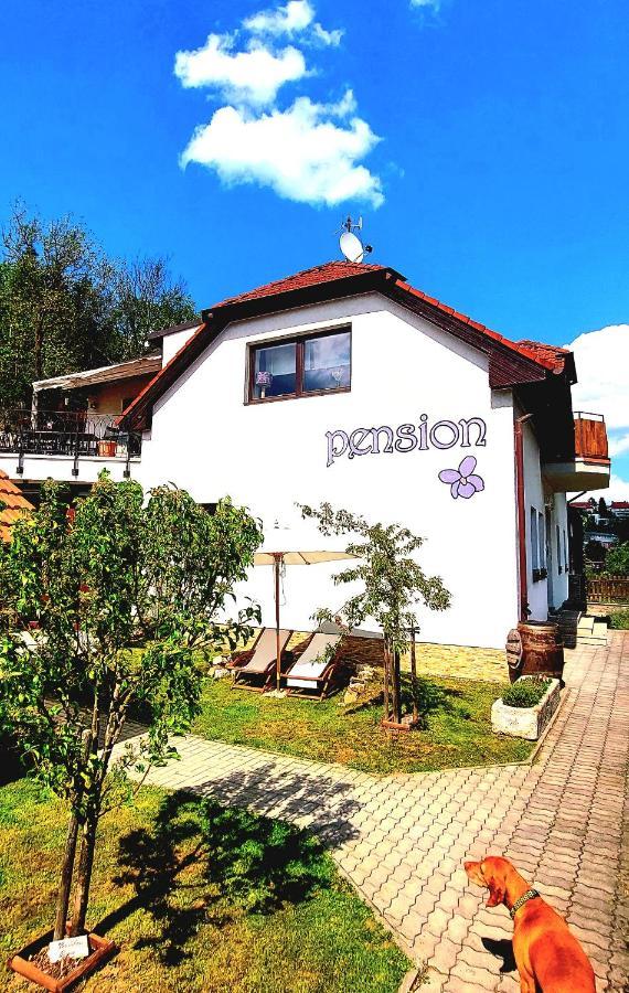 Pension Fialka Cesky Krumlov Bagian luar foto