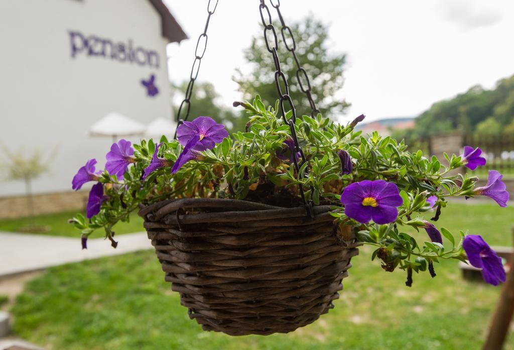 Pension Fialka Cesky Krumlov Bagian luar foto